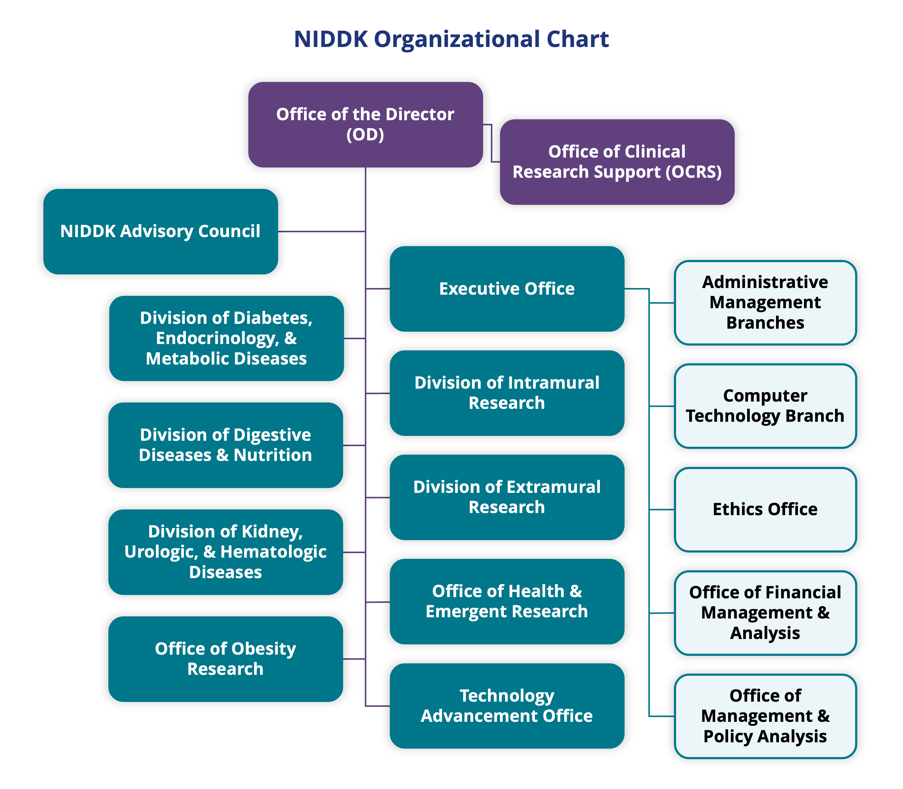 NIDDK Central Repository Organizational structure and oversight infographic